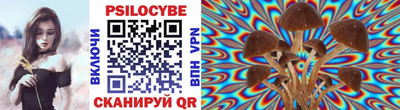 купить наркотик  Комсомольск  Галлюциногенные грибы прущие грибы 